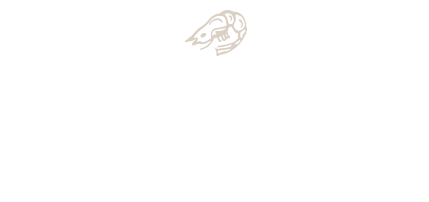 新鮮！近海獲れの