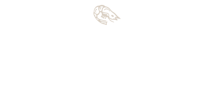 新鮮魚介たっぷり！